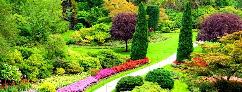 Garden in Victoria, BC